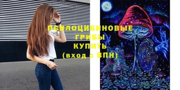 кокс Бородино