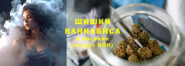 индика Бугульма