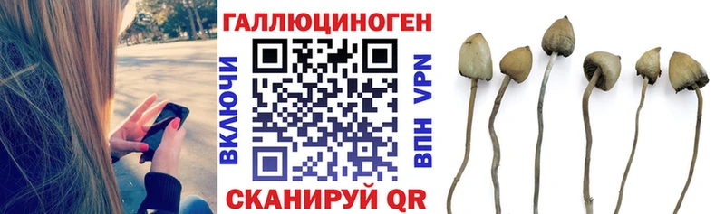 Галлюциногенные грибы MAGIC MUSHROOMS  где продают наркотики  Карабаново 